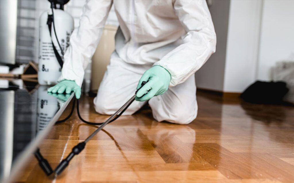 Pest Removal Specialists Chicago